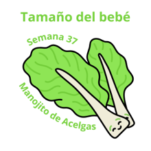 Manojito de Acelgas