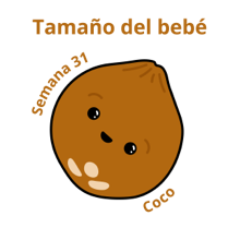 Tamaño del bebé - Semana 31 coco