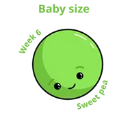 Baby size at 6 weeks sweet pea