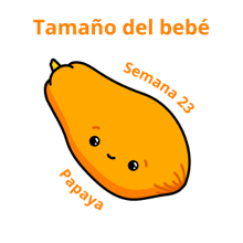 Papaya