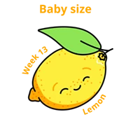 Baby size at 13 weeks lemon