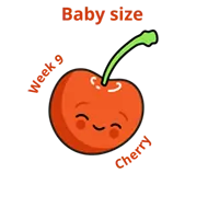 Baby size at 9 weeks cherry
