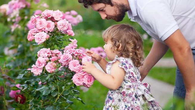 Niña pequeña oliendo flores con su papá