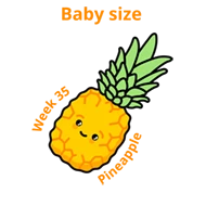 Baby size at 35 weeks pineapple