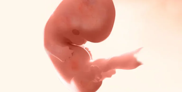 Bebé en el útero a las 9 semanas
