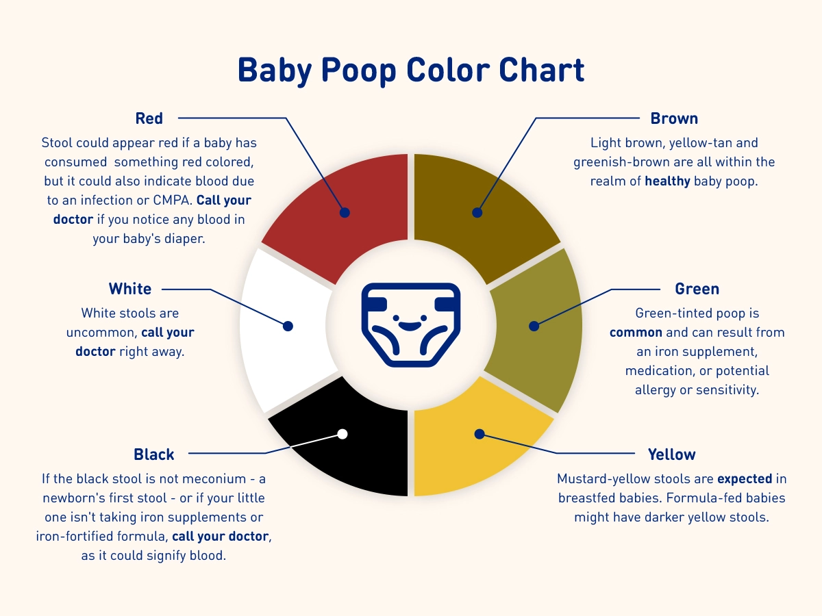 Baby poop color chart showing what different stool colors mean, described in detail below